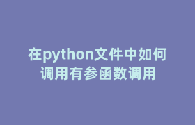 在python文件中如何调用有参函数调用