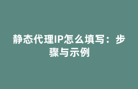 静态代理IP怎么填写:步骤与示例 静态代理IP怎么填写:步骤与示例