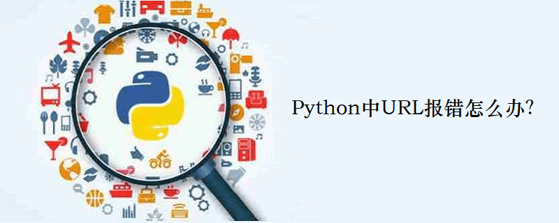 Python中URL报错怎么办？