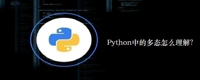 Python中的多态怎么理解？