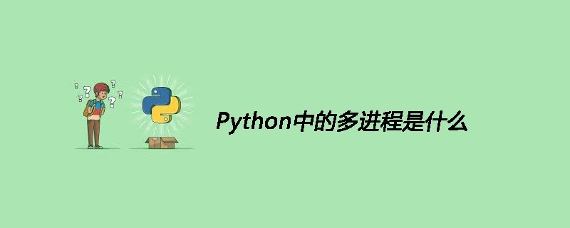 Python中的多进程是什么