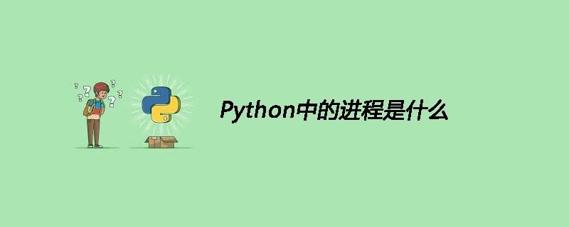 Python中的进程是什么