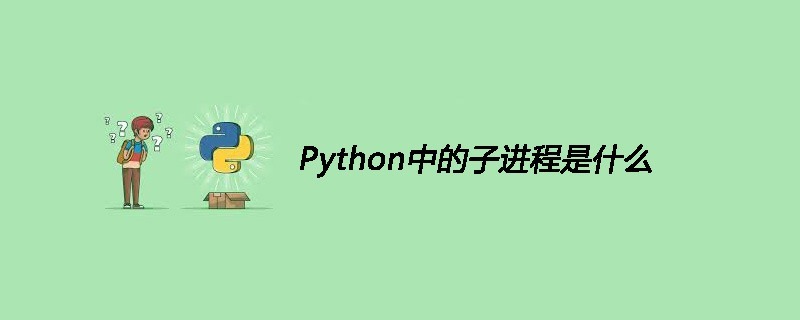 Python中的子进程是什么