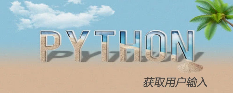 python中如何获取用户输入