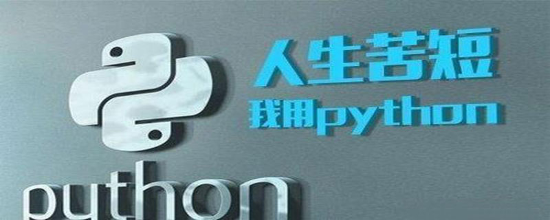 为什么这么多人都在学Python？Python真的会有这么美好的前景吗