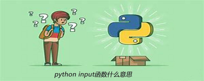 python中的input函数什么意思