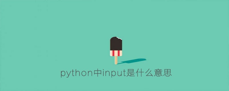 python中input是什么意思