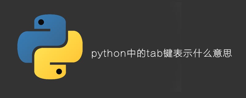 python中的tab键表示什么意思