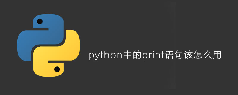 python中的print语句该怎么用