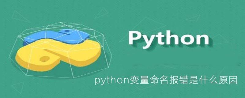 python变量命名报错是什么原因