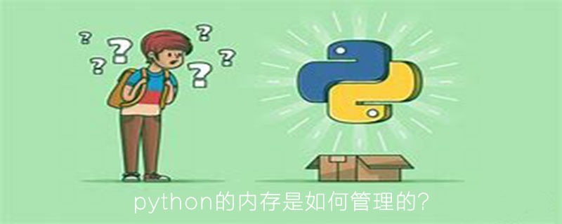 python的内存是如何进行管理