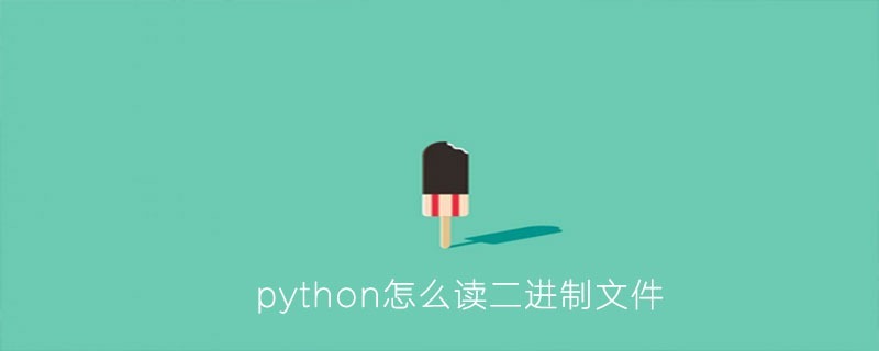 python怎么读二进制文件