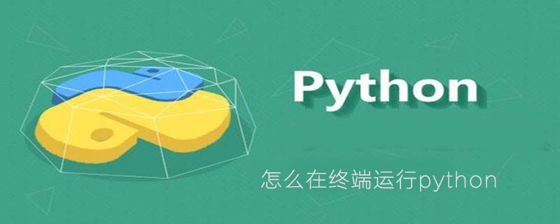 怎么在终端运行python