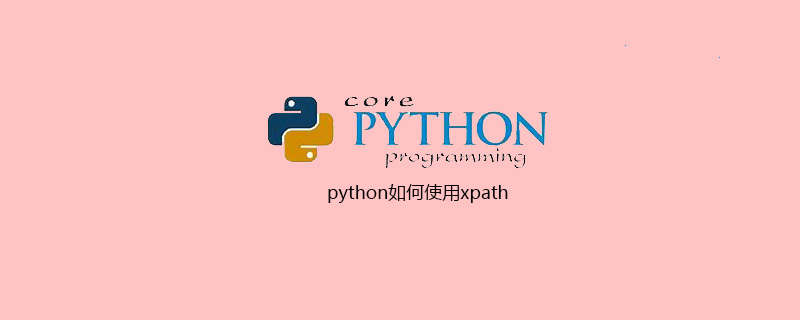 python如何使用xpath