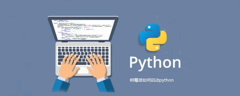 树莓派如何启动python