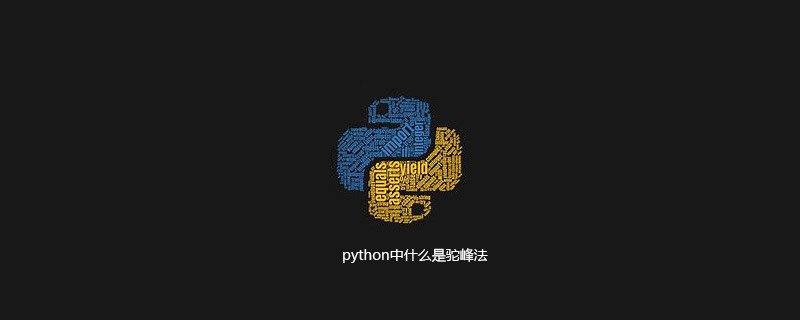 python中什么是驼峰法