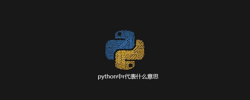 python中r代表什么意思