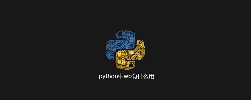 python中wb有什么用