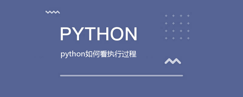 python如何看执行过程