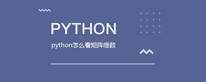 python怎么看矩阵维数