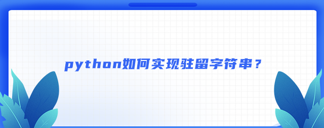 python如何实现驻留字符串？