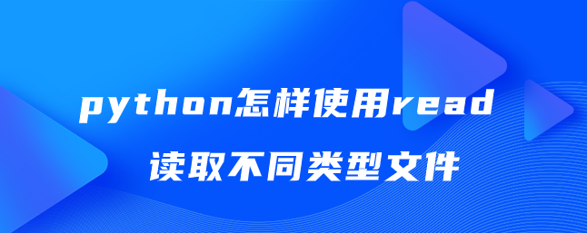 python怎样使用read读取不同类型文件