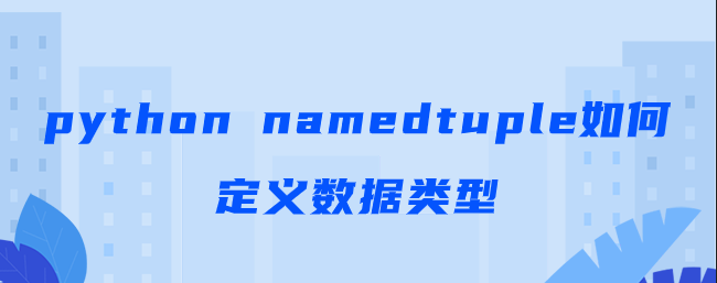 namedtuple如何定义数据类型【python