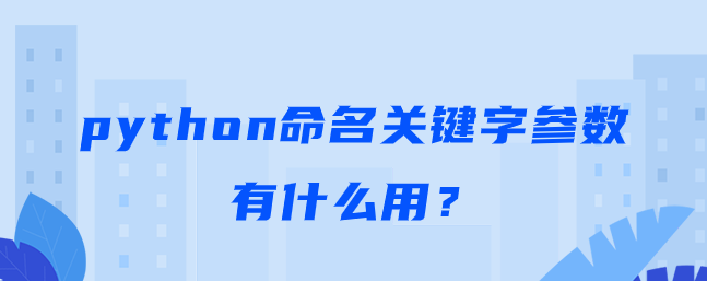 python命名关键字参数有什么用？