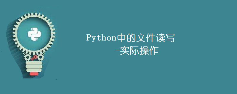 Python中的文件读写-实际操作