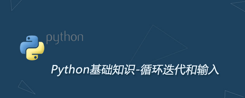 详解python迭代循环和用户输入