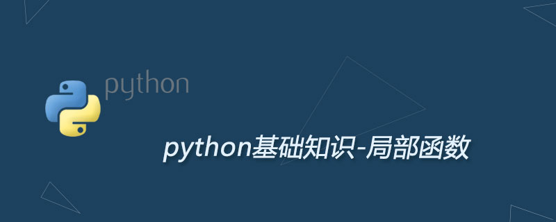 Python局部函数及用法