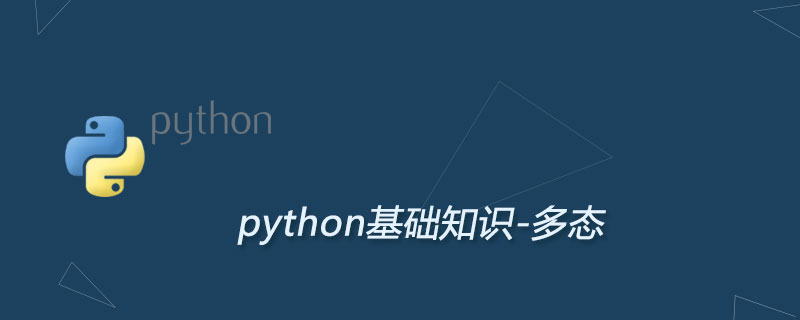 Python多态原理及实现