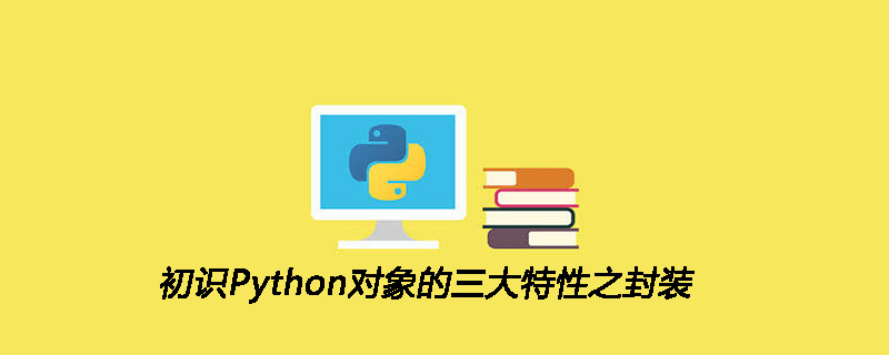 初识Python对象的三大特性之封装