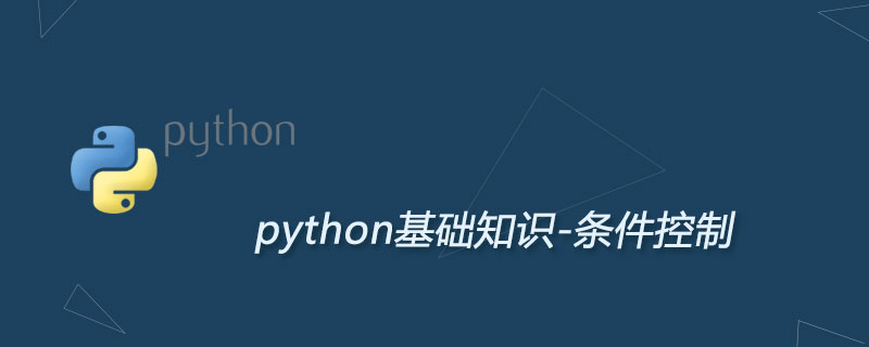 Python3条件控制