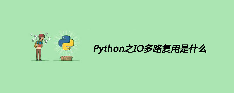 Python之IO多路复用是什么