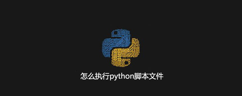 怎么执行python脚本文件