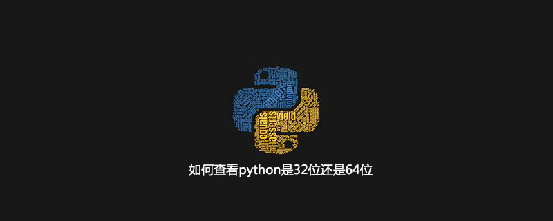 如何查看python是32位还是64位