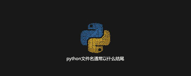 python文件名通常以什么结尾