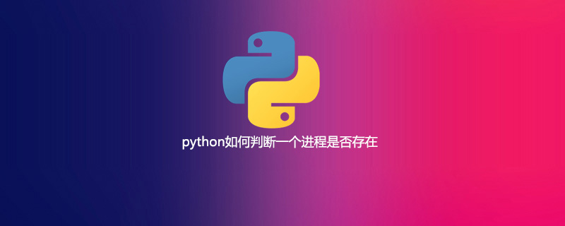 python如何判断一个进程是否存在