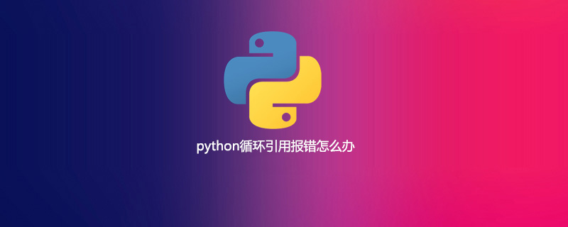 python循环引用报错怎么办