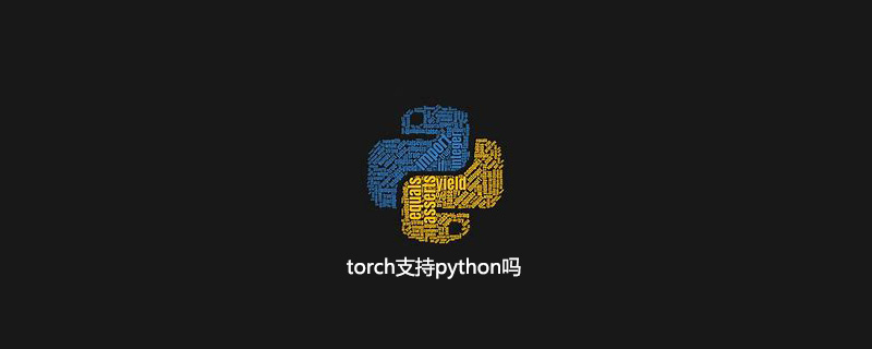 torch支持python吗