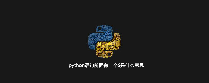 python语句前面有一个$是什么意思