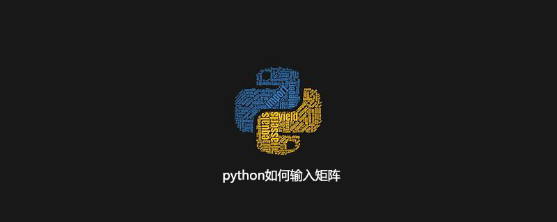 python如何输入矩阵