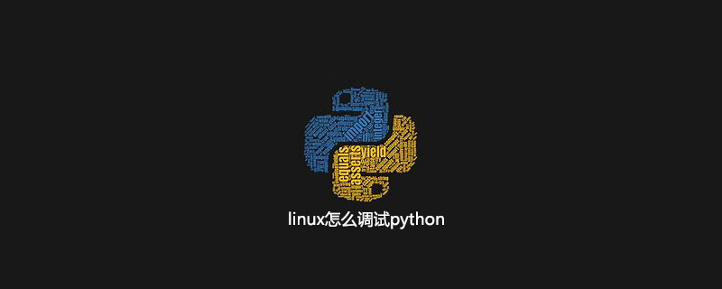 linux怎么调试python