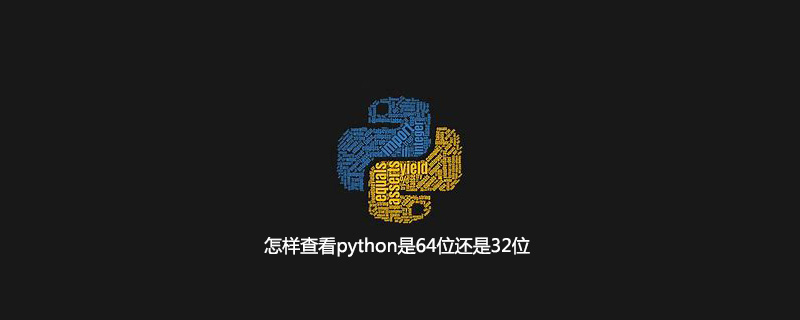 怎样查看python是64位还是32位