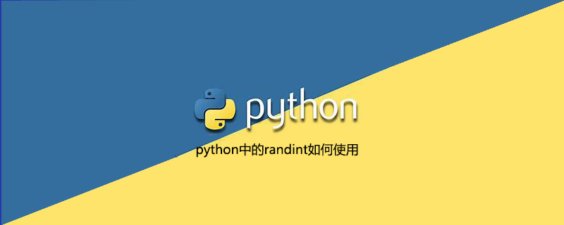 python中的randint如何使用