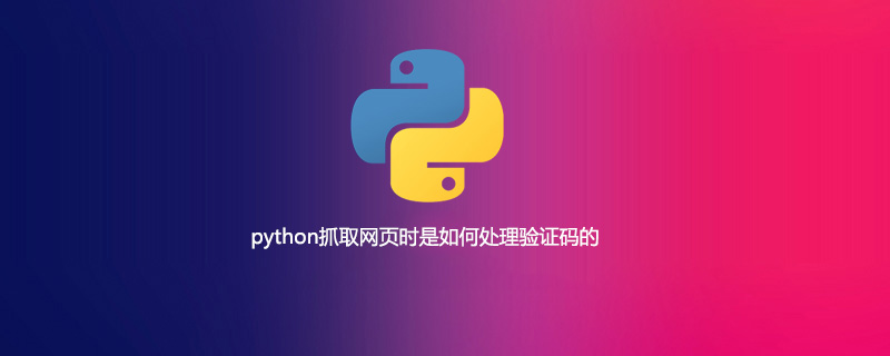 python抓取网页时是如何处理验证码的