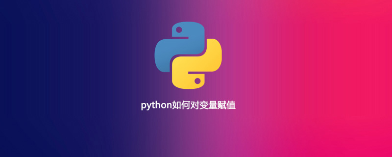 python如何对变量赋值