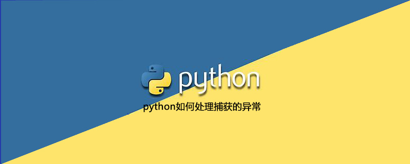 python如何处理捕获的异常