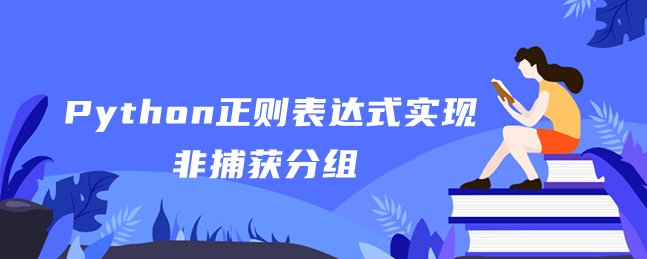 Python正则表达式实现非捕获分组